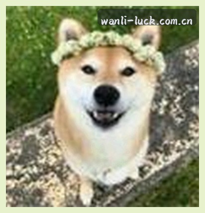 王磊